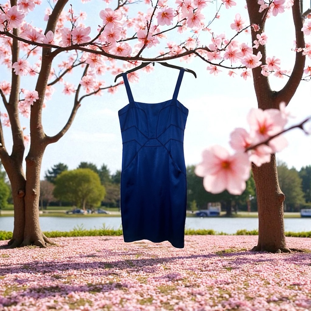 Laundry by Design Royal Blue Garment